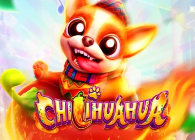 CO88 Chi Hua Hua